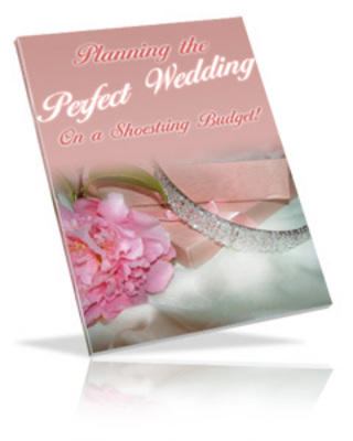 Product picture NEW!! Planning The Perfect Wedding A Shoestring Budget